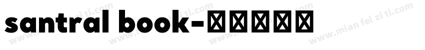 santral book字体转换